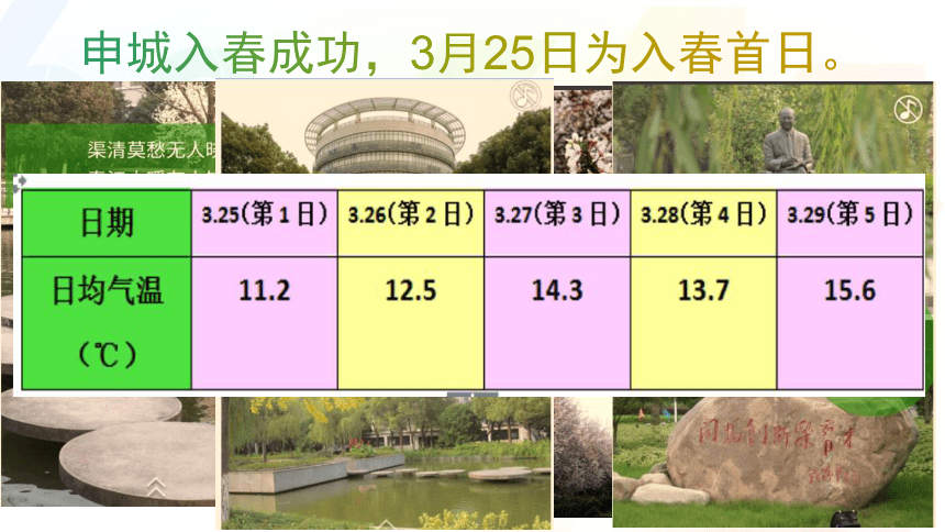 沪教版（上海）数学高二上册-7.1 数列 课件（17张PPT）