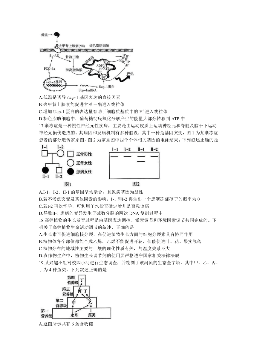 山东省2023年6月普通高中学业水平等级考试抢分密卷(三)生物学试题（Word版含答案）