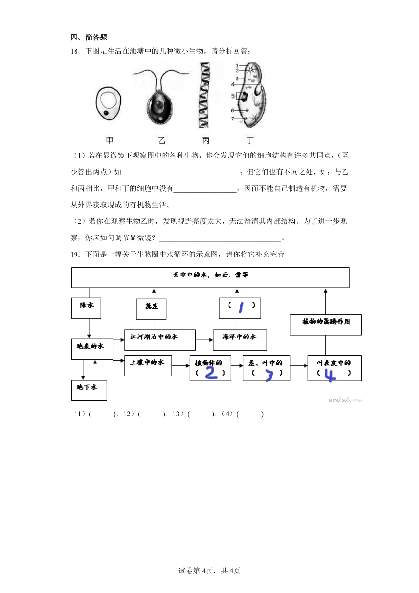 第二章 生物的主要类群  同步训练  华东师大版科学七年级上册（含解析）