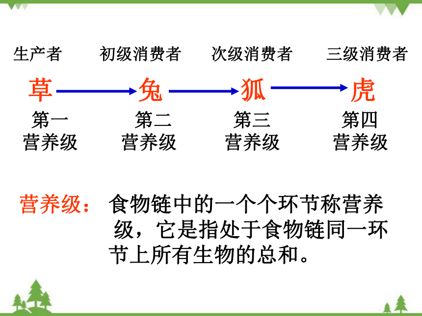 北师大版生物八年级下册 第23章 第3节生态系统的结构和功能课件(共39张PPT)