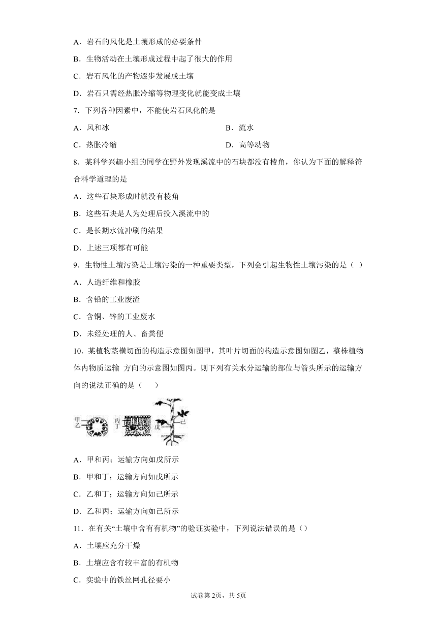 第4章 土壤 综合练习（含答案）