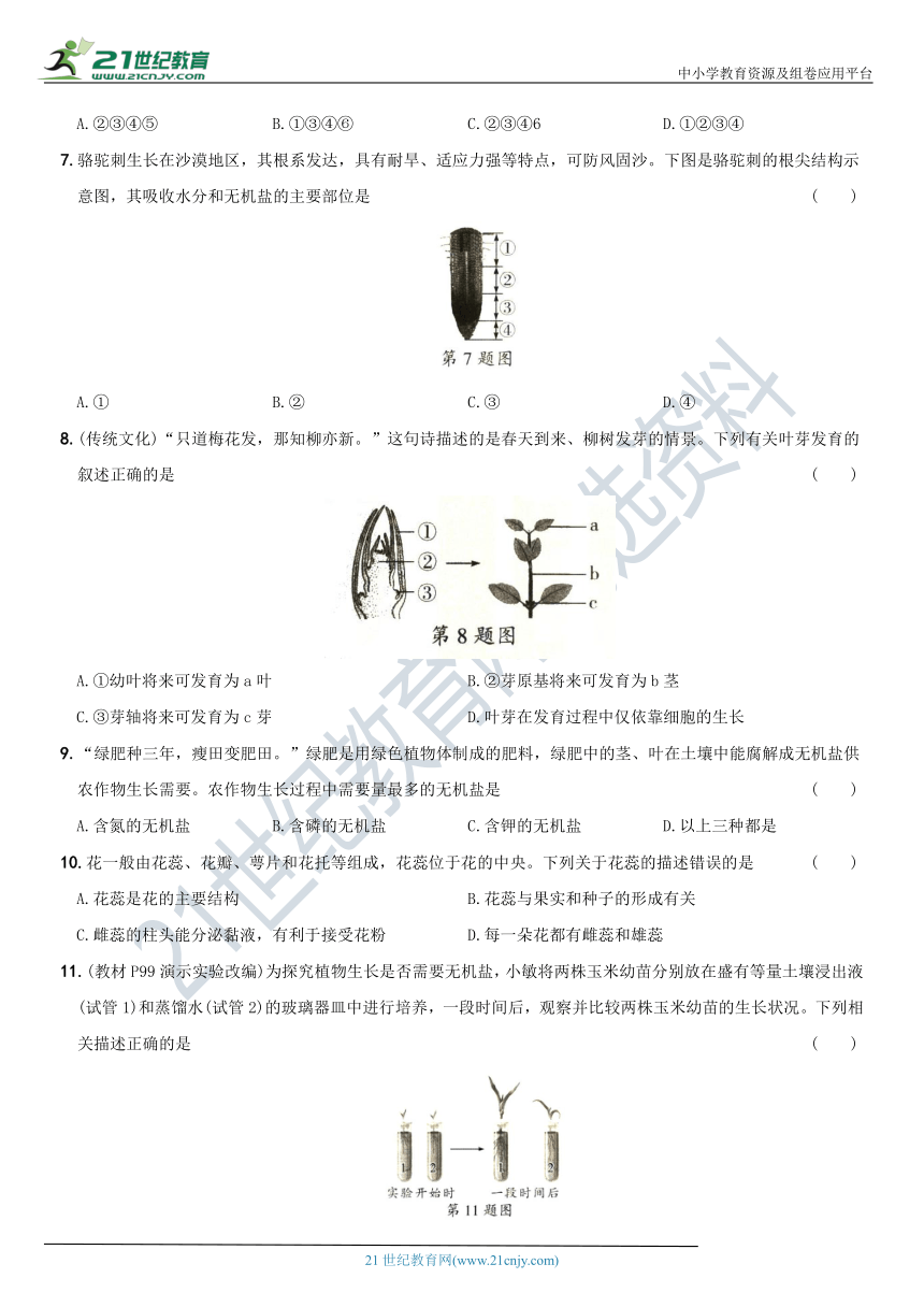 第三单元  生物圈中的绿色植物（检测卷一）—【新课标·新素养】2022—2023学年七年级生物能力提升检测卷