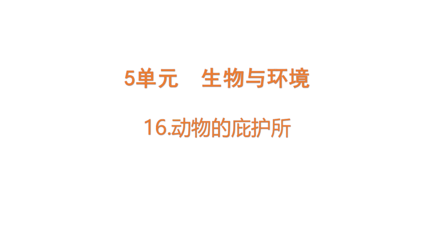 苏教版（2017秋）科学四年级下册 5.16 动物的庇护所 课件（17张PPT）