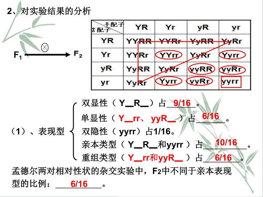 1.2 孟德尔从两对相对性状的杂交实验中总结出自由组合定律 课件（共44张PPT）