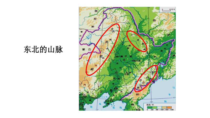 第六章  北方地区 第二节  “白山黑水”——东北三省  课件（共53页PPT）