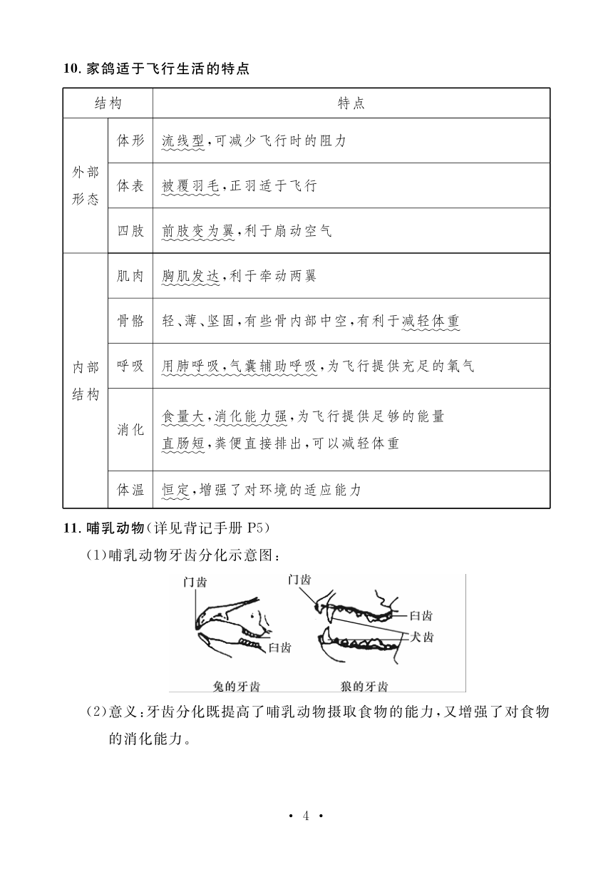 人教版生物八年级上册背诵资料（PDF版）