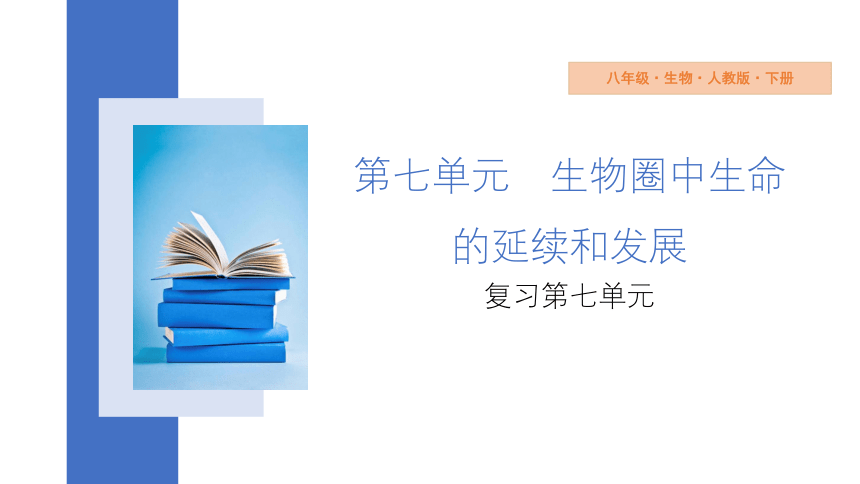 第七单元 生物圈中生命的延续和发展 复习课件(共34张PPT) 2023-2024学年 初中生物人教版八年级下册