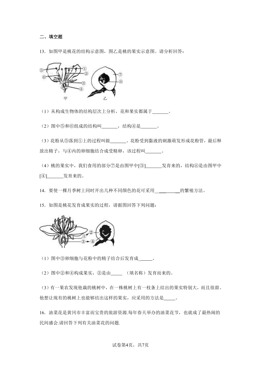 7.1绿色开花植物的有性生殖和发育达标练习（含答案）