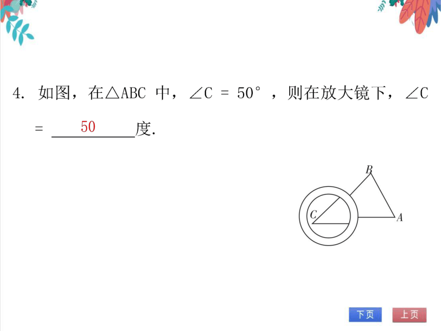 【北师大版】数学九年级（上）4.3 相似多边形 习题课件