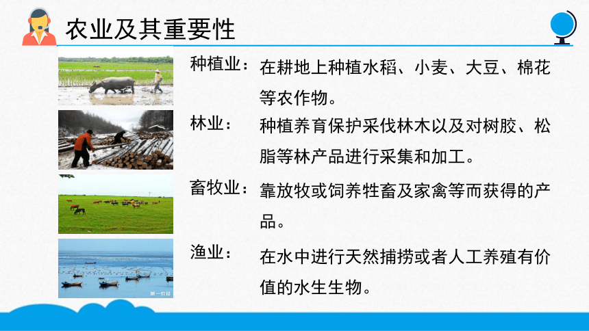 初地八上 第四章第二节 农业 微课课件