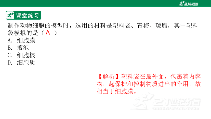 2022-2023学年七年级生物上册2.2.2 动物体的结构层次-同步课件(共28张PPT)