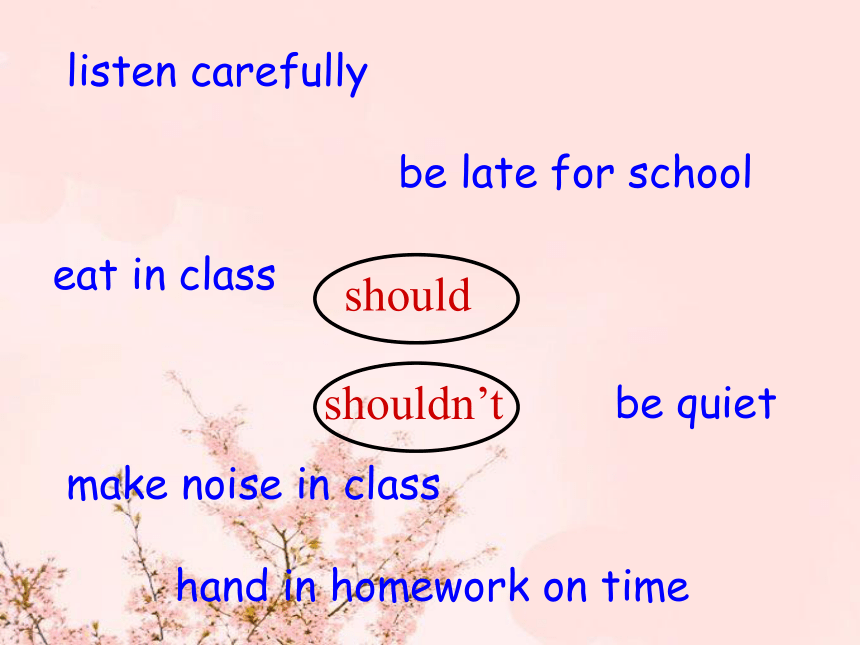 Unit3 We should obey the rules.(Lesson17) 课件(共36张PPT)