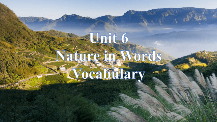 外研版（2019）  选择性必修第三册  Unit 6 Nature in Words词汇课件(共16张PPT)