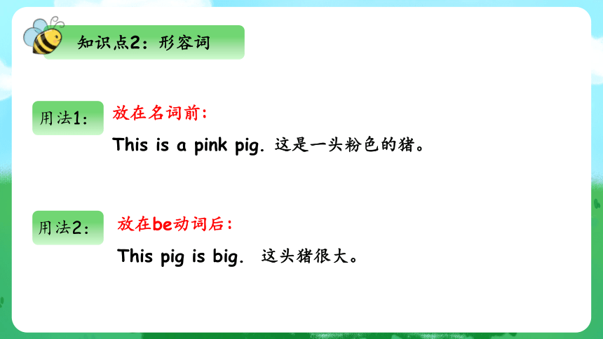 Unit 3 At the Zoo 单元复习(四)-语法+典型例题（共33张PPT）