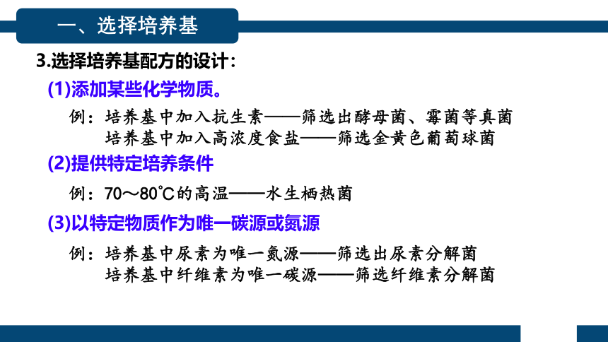 1.2.2微生物的选择培养和计数（第2课时）(共25张PPT)课件-人教版选择性必修三