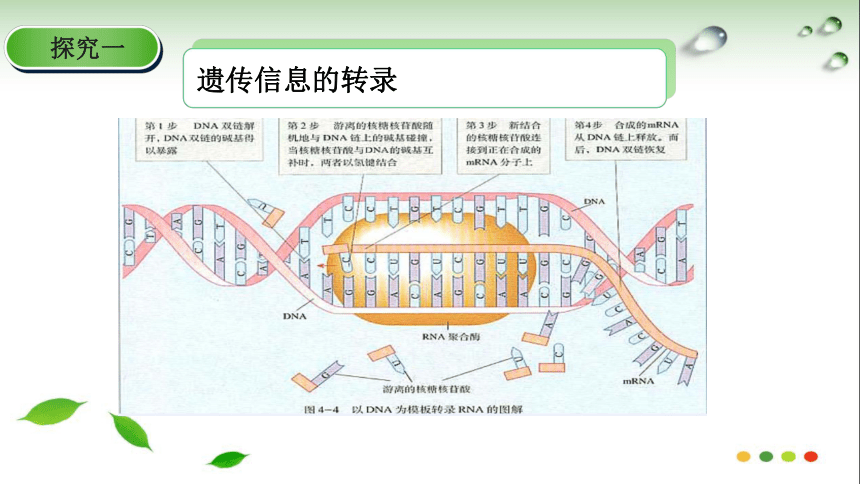 全国优质课比赛获奖课件(噬菌体侵染细菌的实验)