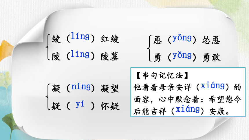 16 猫  课件（共41张ppt）