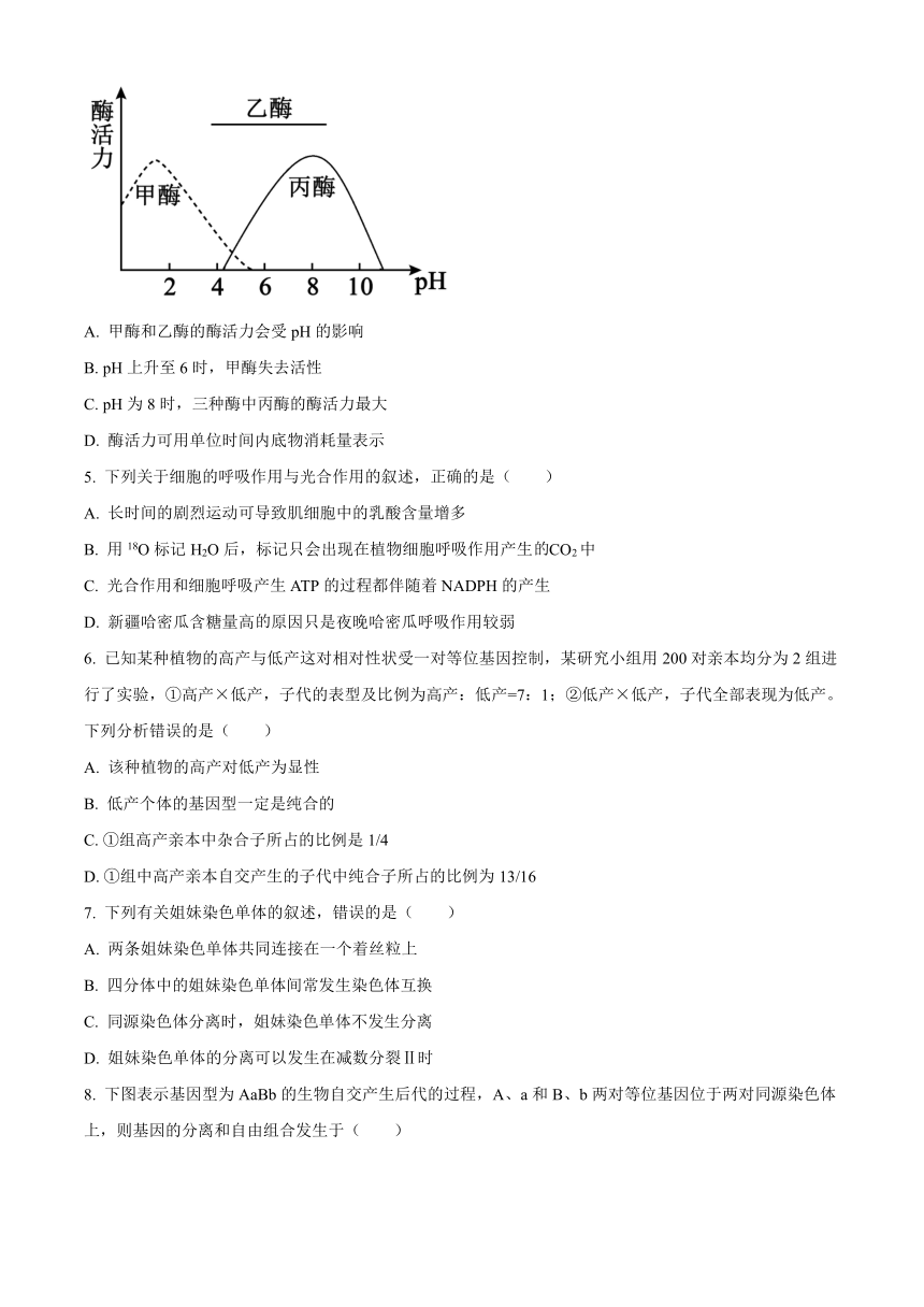 山西省2020-2021学年高一下学期5月联合考试生物试题     含答案