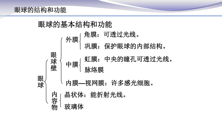 4.6.1 人体对外界环境的感知1 课件（24张PPT） 2020-2021学年人教版七年级生物下册