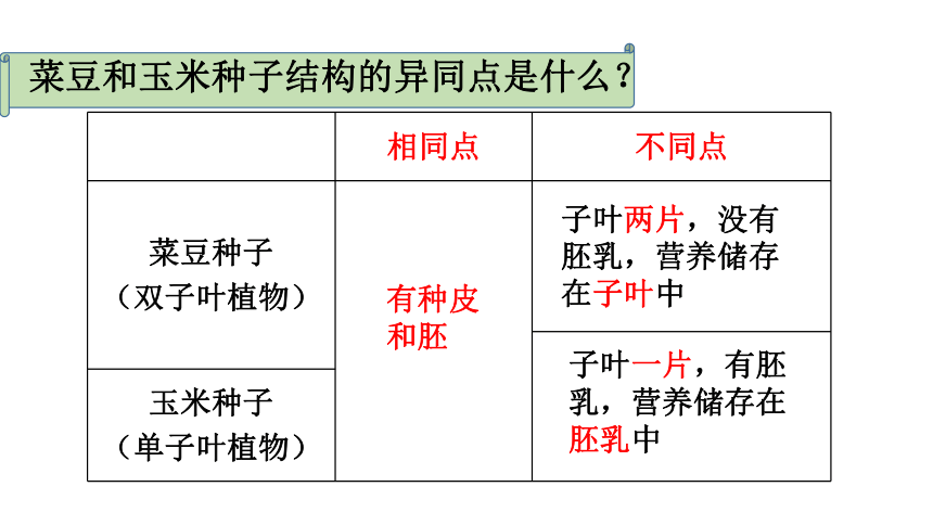 人教版生物七年级上册 3.1.2种子植物课件(共32张PPT)