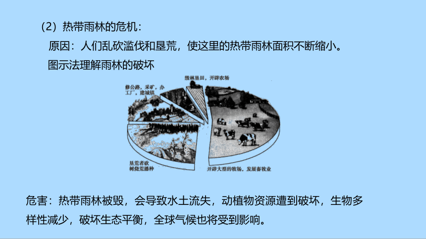 湘教版地理七年级下册8.6巴西知识梳理课件(共33张PPT)