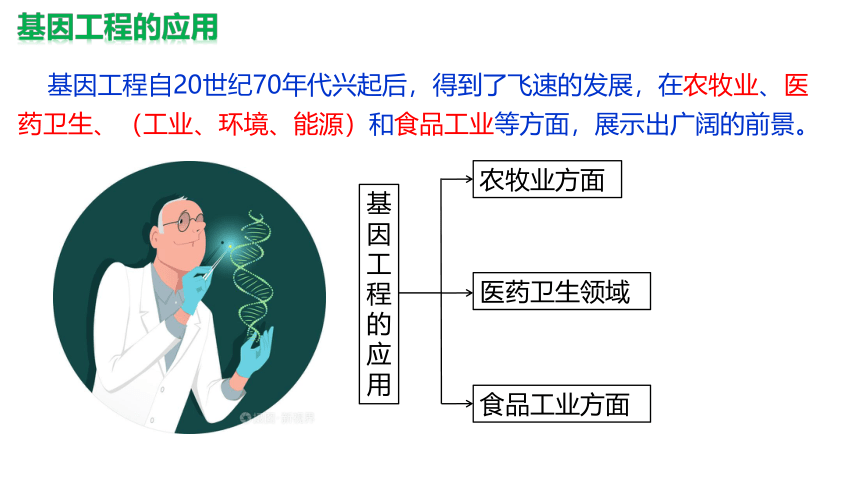 生物人教版（2019）选择性必修3 3.3基因工程的应用（课件共46张ppt）