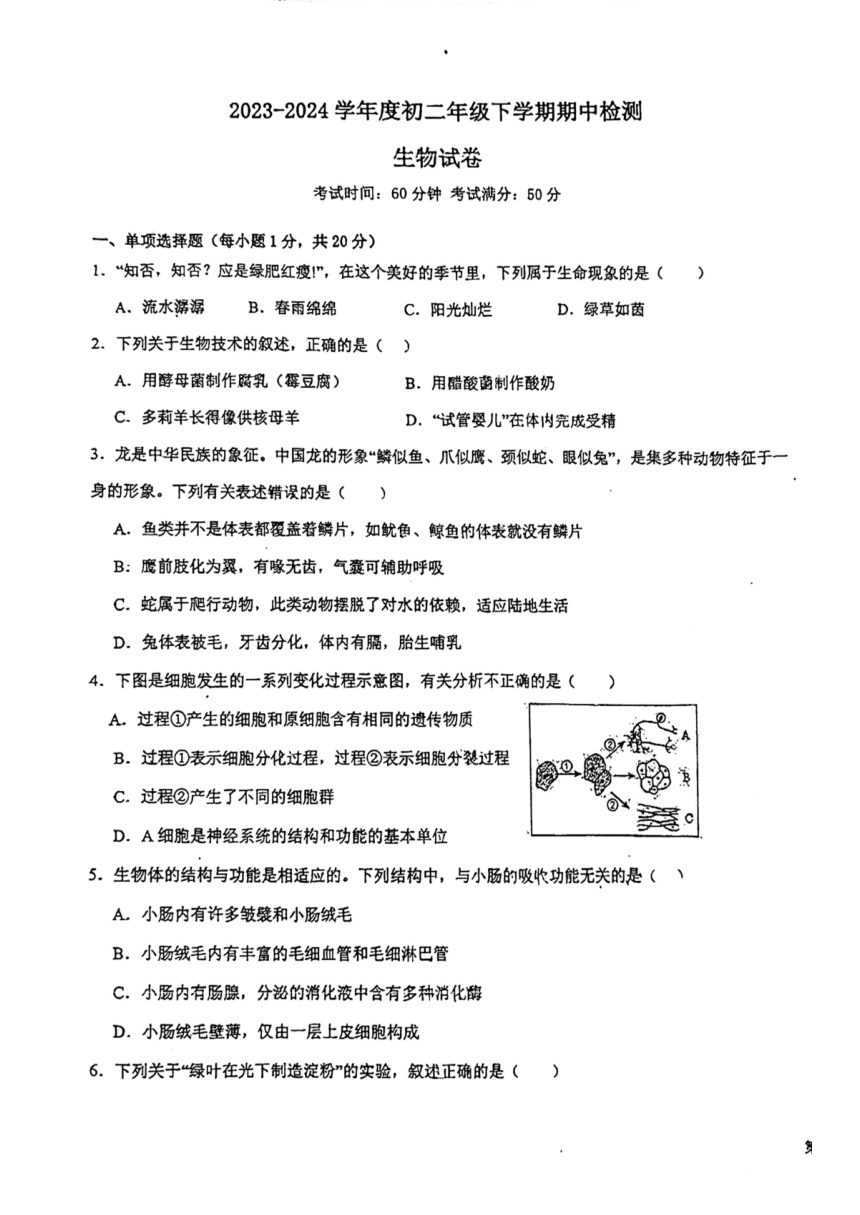 江西省新余市第四中学2023-2024学年八年级下学期期中检测生物试卷（PDF版无答案）