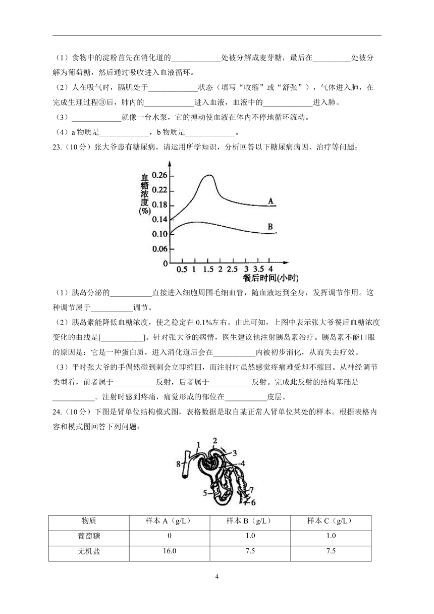 2022-2023学年人教版八年级上学期开学摸底考试生物试卷B卷(word版  含答案）