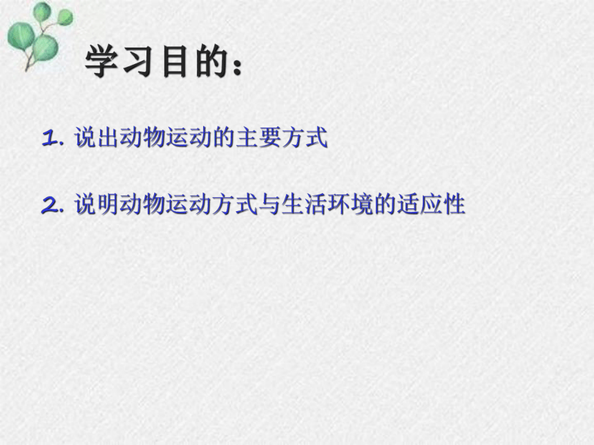 15.1动物运动的方式课件(共19张PPT)