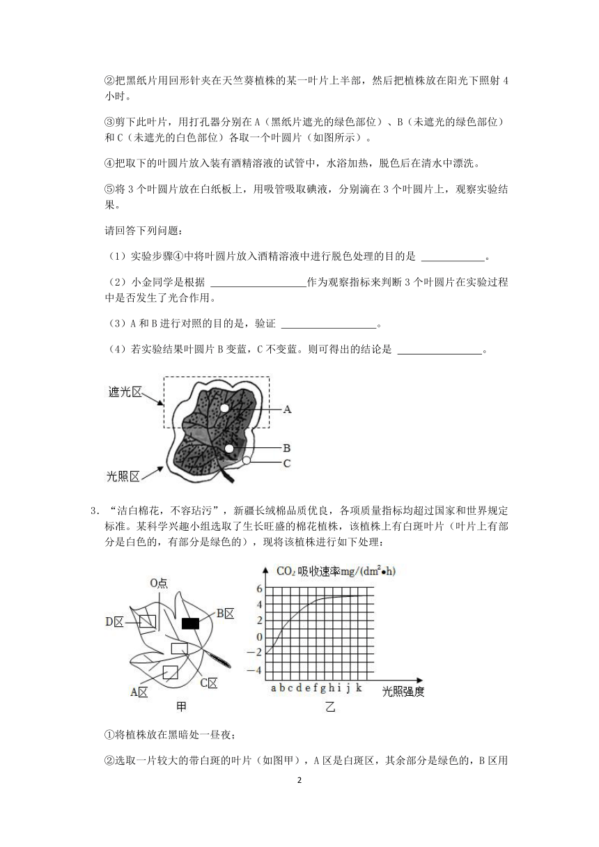 【决胜期末】浙教版2022-2023学年第二学期八年级科学期末好题汇编（九）：光合作用实验探究（1）【word，含解析】