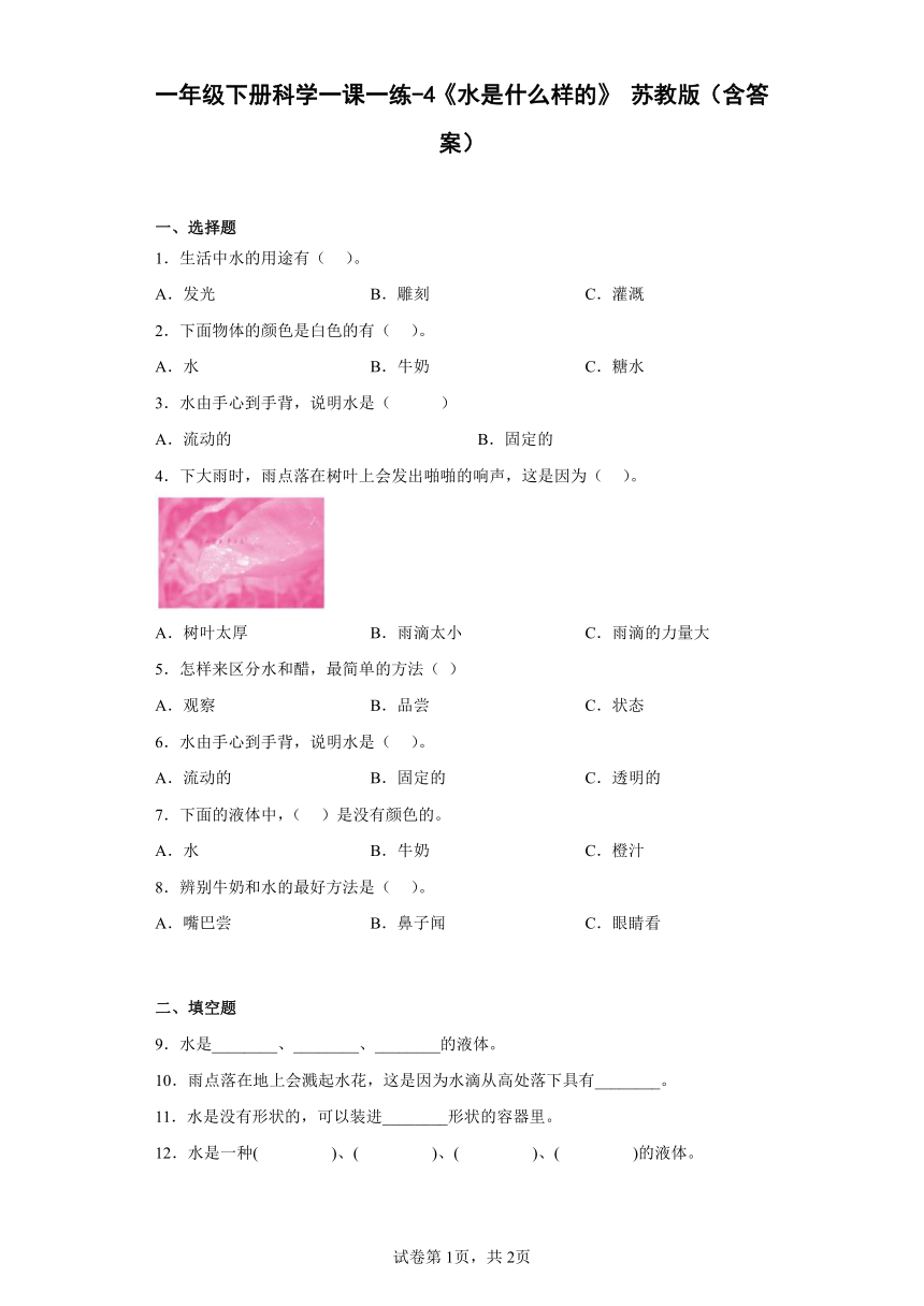 苏教版（2017秋）一年级下册科学 -2.4 水是什么样的 练习（含答案）