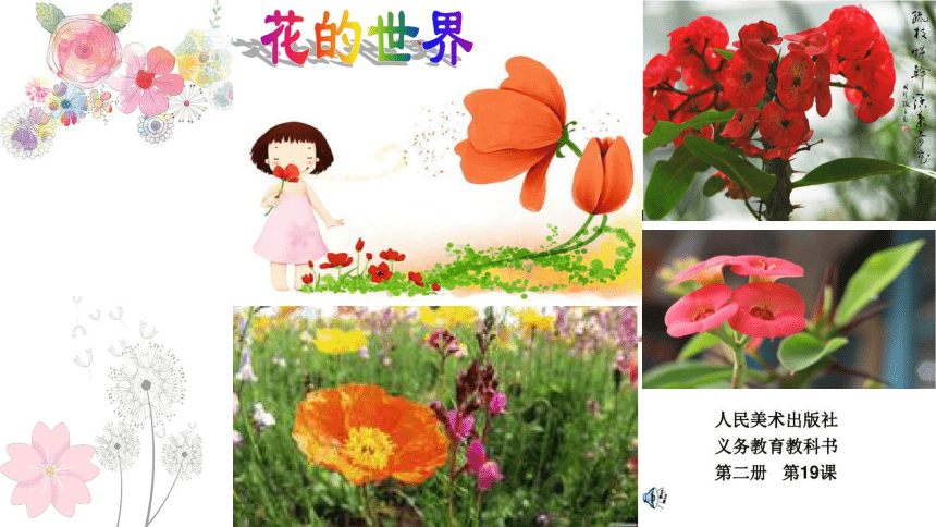 人美版一年级下册美术 19. 花的世界 课件（17张PPT）