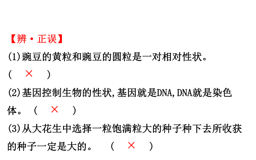 2021-2022学年人教版生物中考复习之生物的遗传与变异课件（80张PPT）