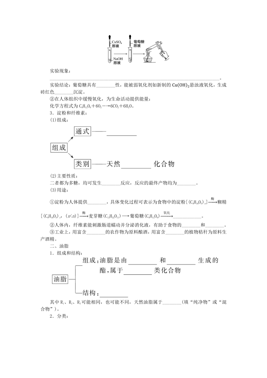 新教材2023版高中化学第3章简单的有机化合物第3节饮食中的有机化合物第3课时糖类油脂和蛋白质学案(含答案)鲁科版必修第二册