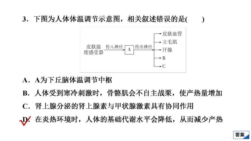 高考生物热点集训9　动物和人体生命活动的调节(共35张PPT)