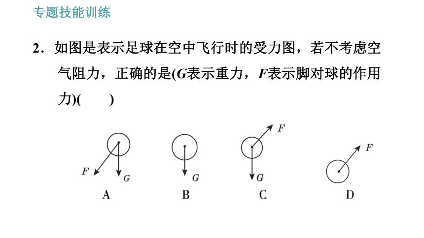 沪粤版八年级下册物理习题课件 第6章 专训（一）  三种力及力的示意图（14张）