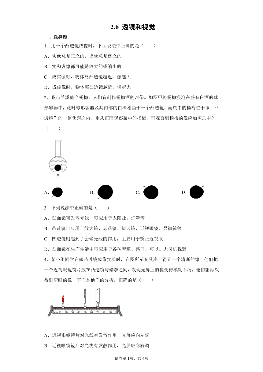 2.6 透镜和视觉 同步练习（含解析）