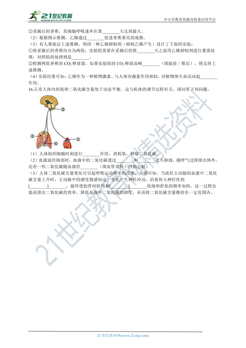 北京版2021初中生物七年级下册6.2绿色植物的呼吸（含解析）