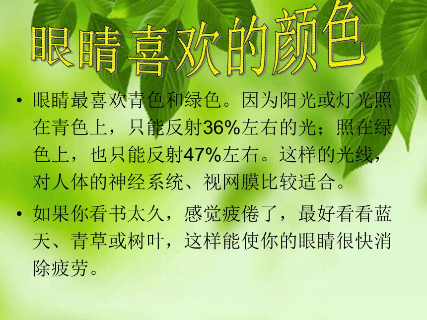 沪科黔科版小学综合实践活动 四年级下册 珍惜我们的眼睛 课件（共14张ppt）