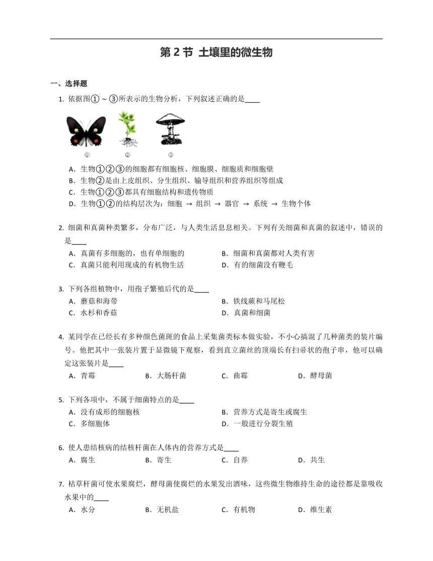 5.13.2 土壤里的微生物同步训练（含答案）苏科版