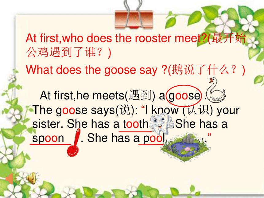 Lesson 5 What can you see？ Let’s spell 课件(共20张PPT)