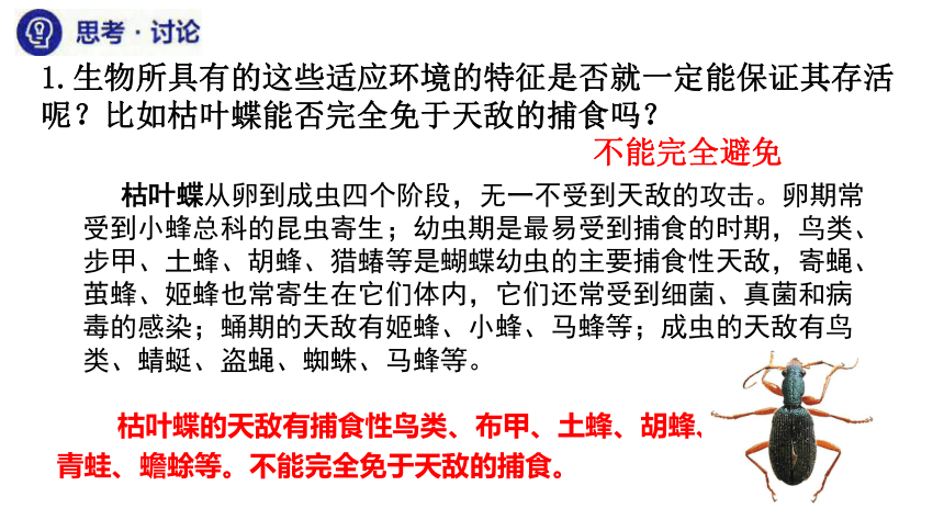 6.2自然选择与适应的形式课件(共36张PPT)