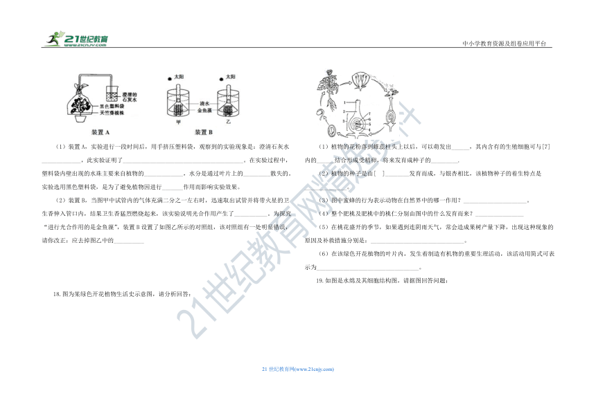 人教版七年级生物 上册 第三单元 生物圈中的绿色植物 单元测试 B卷（含解析）