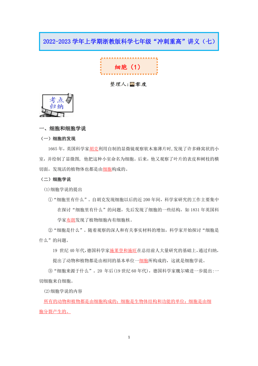 浙教版科学2022-2023学年上学期七年级“冲刺重高”讲义（七）：细胞（1）【word，含解析】