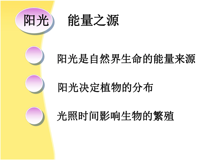 北师大版生物八年级下册8.23.1 生物的生存依赖一定环境 课件（25张PPT）