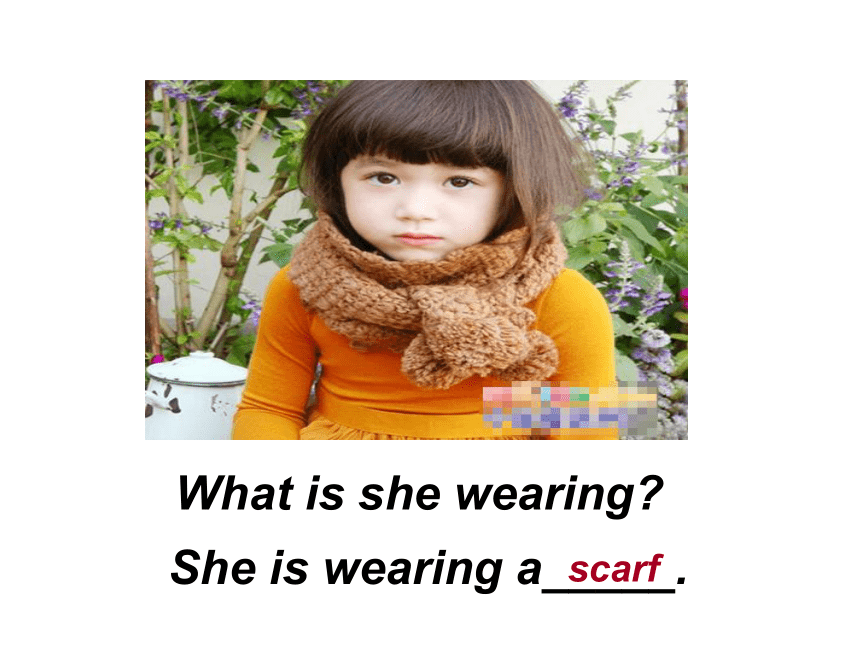 Unit 1  Lesson 3 Coat and Scarf 课件（共12张ppt）