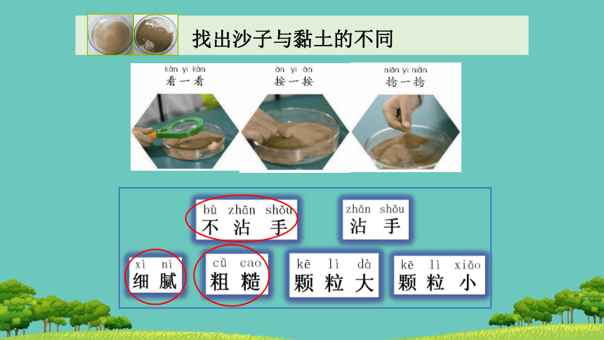 苏教版（2017秋）一年级下册科学1.3沙子与黏土（课件共13张PPT）