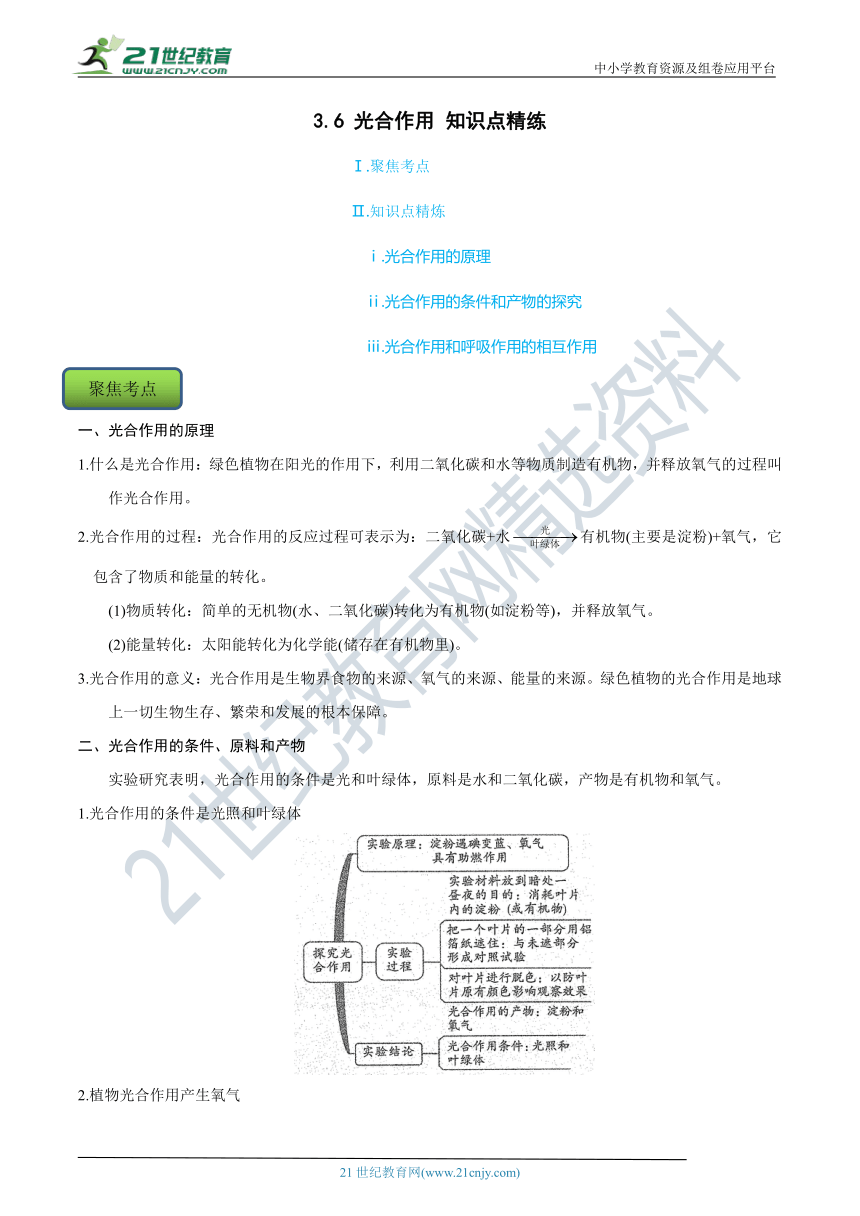 【8年级下册同步讲练测】3.6 光合作用 知识点精练（含答案）