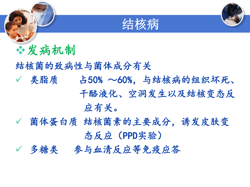 3.6.2结核病 课件(共41张PPT)-《病理学基础》同步教学（人卫版）