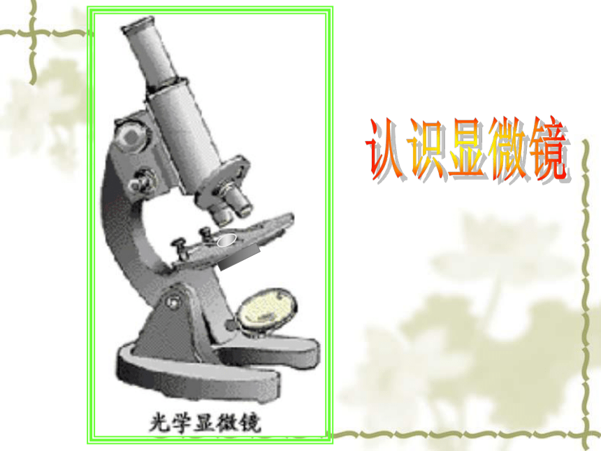 人教版七年级上册生物学2.1.1练习使用显微镜课件(共39张PPT)